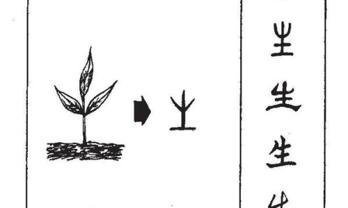 病人说死去的拉她一起走网- 在医院病逝的老人拉回家好吗知识,分享病人老是说死去的人
