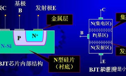 小产后能吃什么水果比较好？