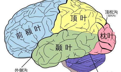 病人喊死去的人-病人说死去的拉她一起走网- 在医院病逝的老人拉回家好吗知识,分享病人老是说死去的人